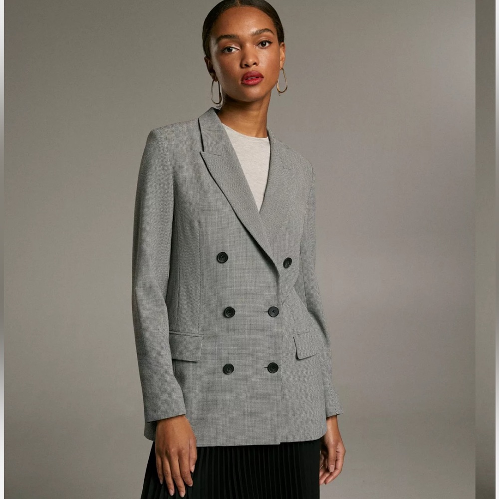 Aritzia Babaton Samuel Check Blazer